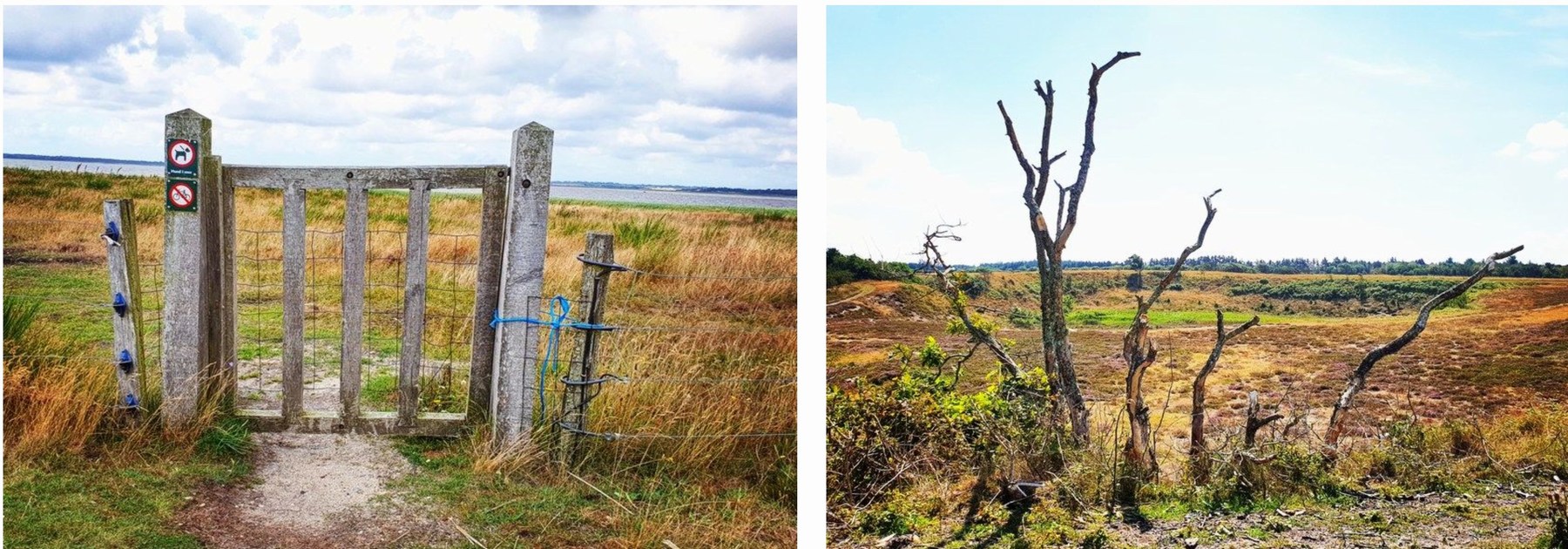 Esbjerg Ziegenberg